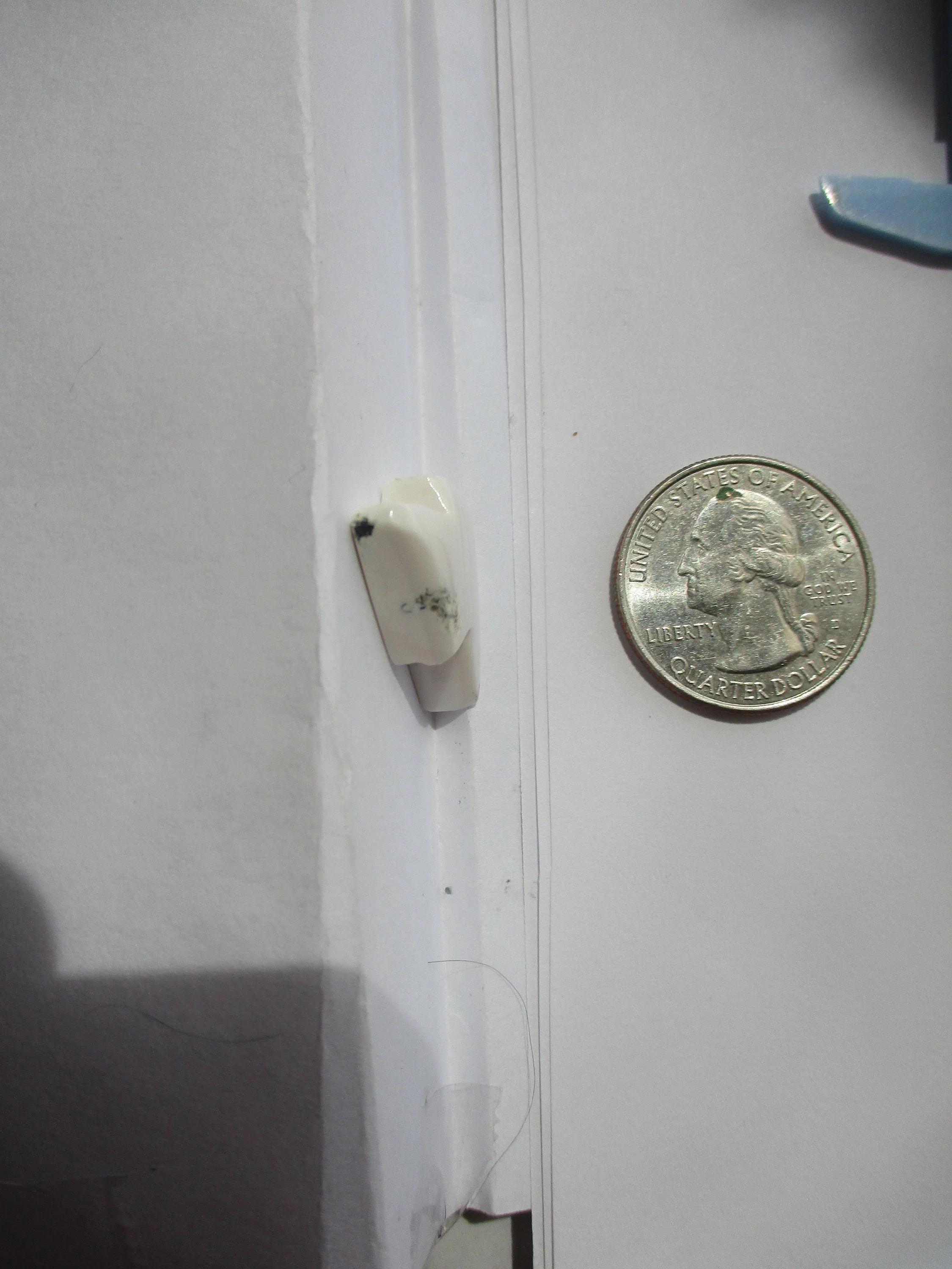 17.7 ct (23x19x6.5 mm) 100% Natural White Buffalo Lightning Bolt Cabochon Gemstone, HR 78