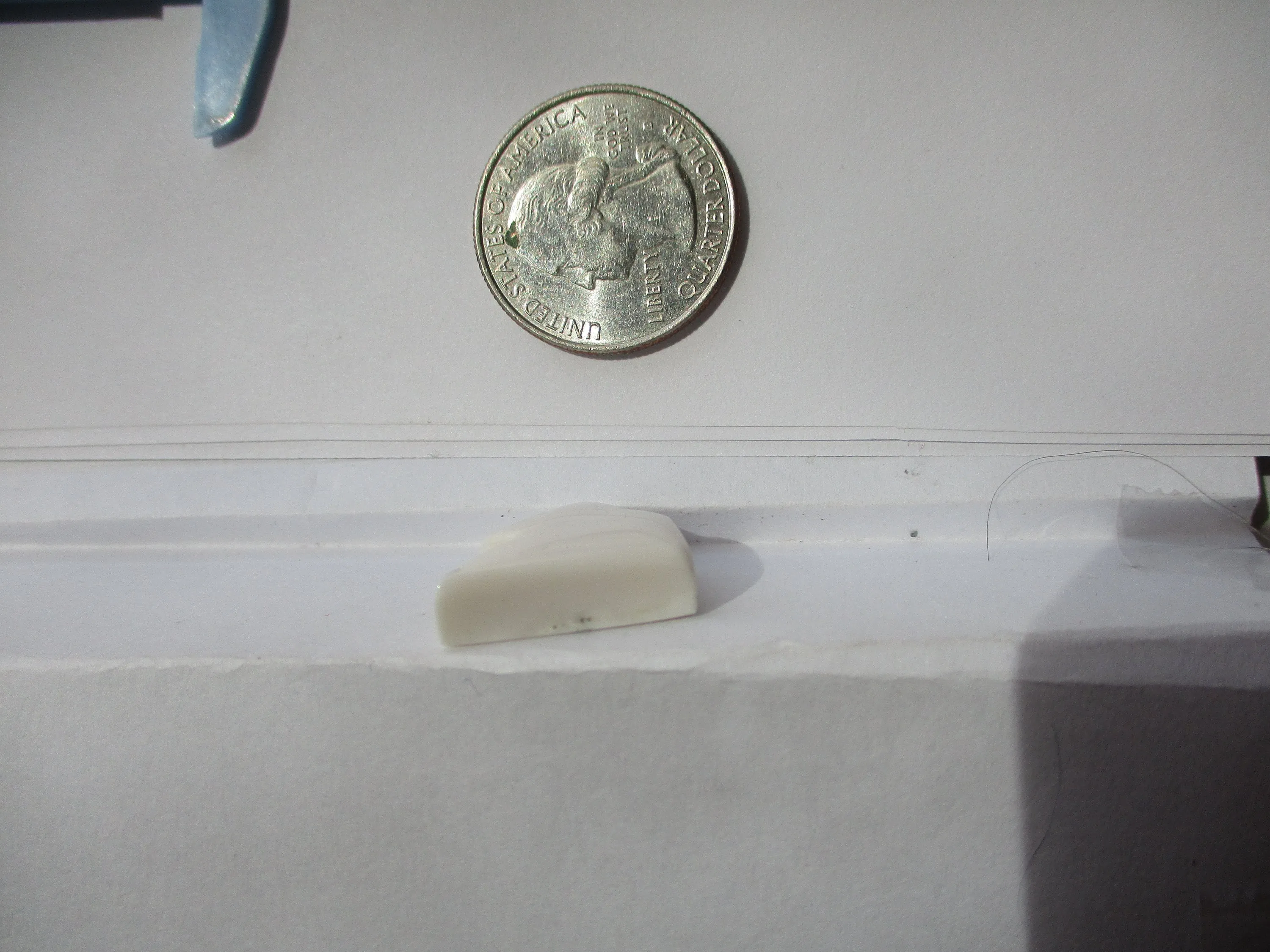 17.7 ct (23x19x6.5 mm) 100% Natural White Buffalo Lightning Bolt Cabochon Gemstone, HR 78