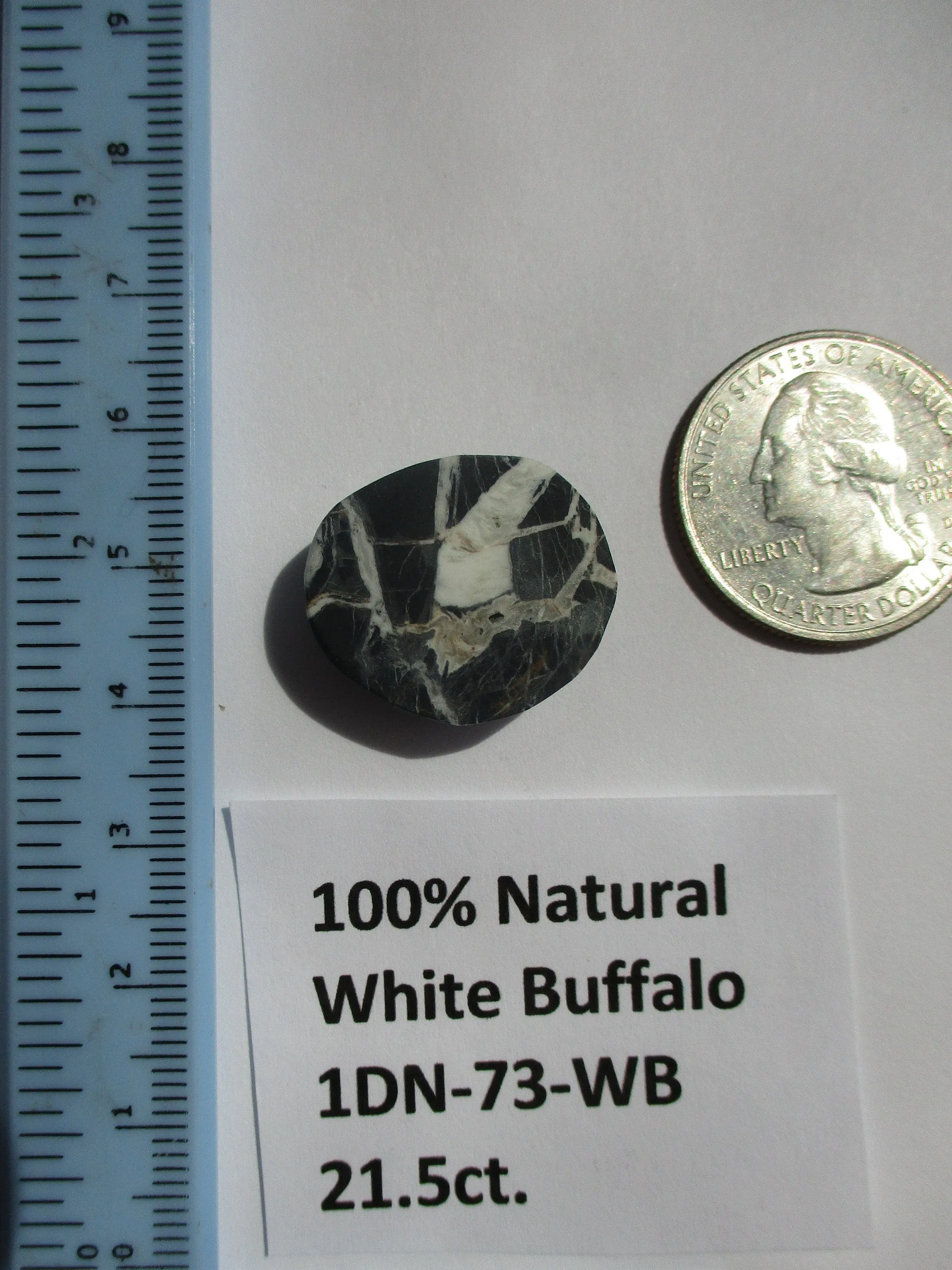 21.5 ct. (22.5x19x7 mm) 100% Natural White Buffalo Cabochon Gemstone 1DN 073