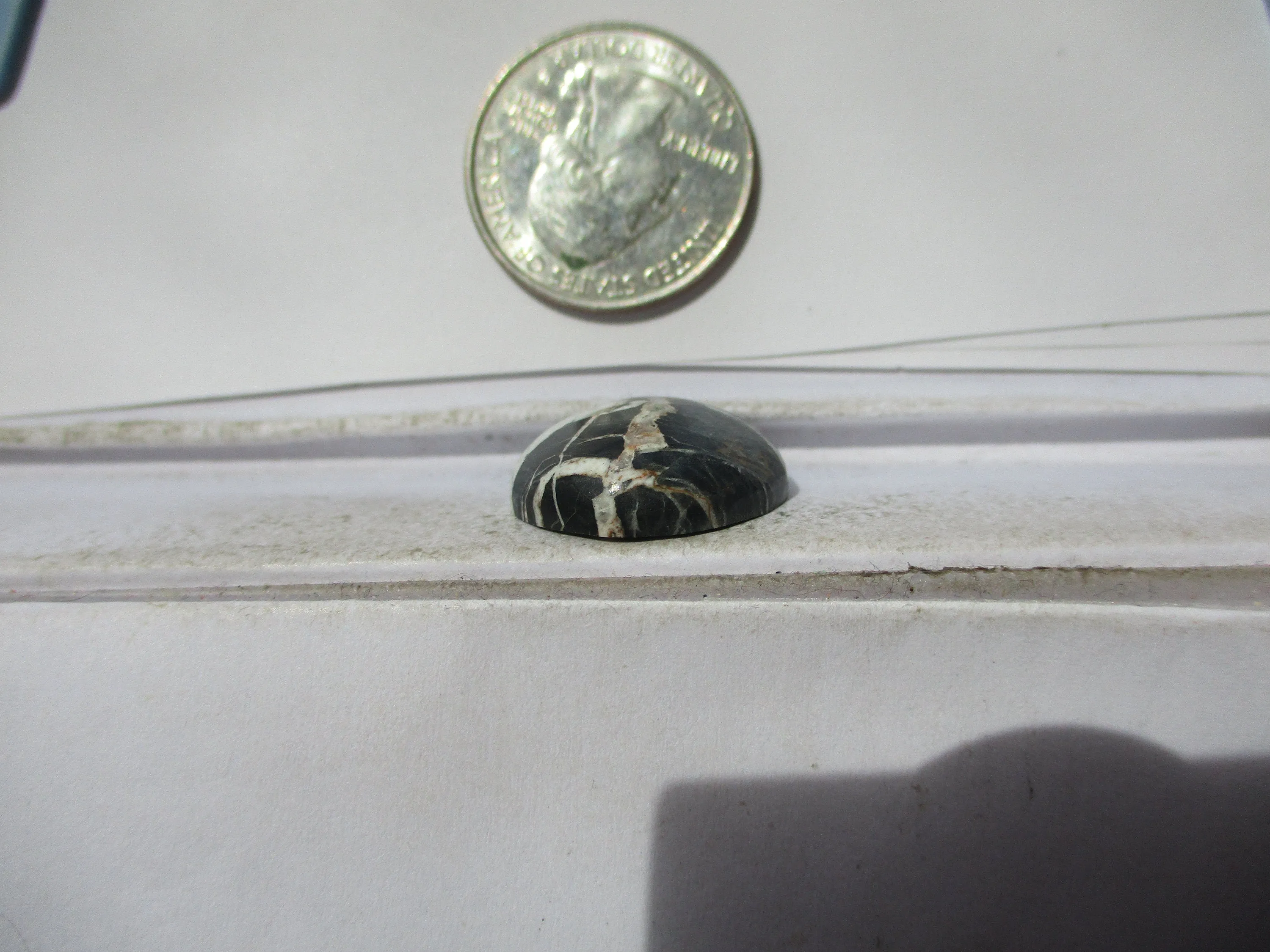 21.5 ct. (22.5x19x7 mm) 100% Natural White Buffalo Cabochon Gemstone 1DN 073