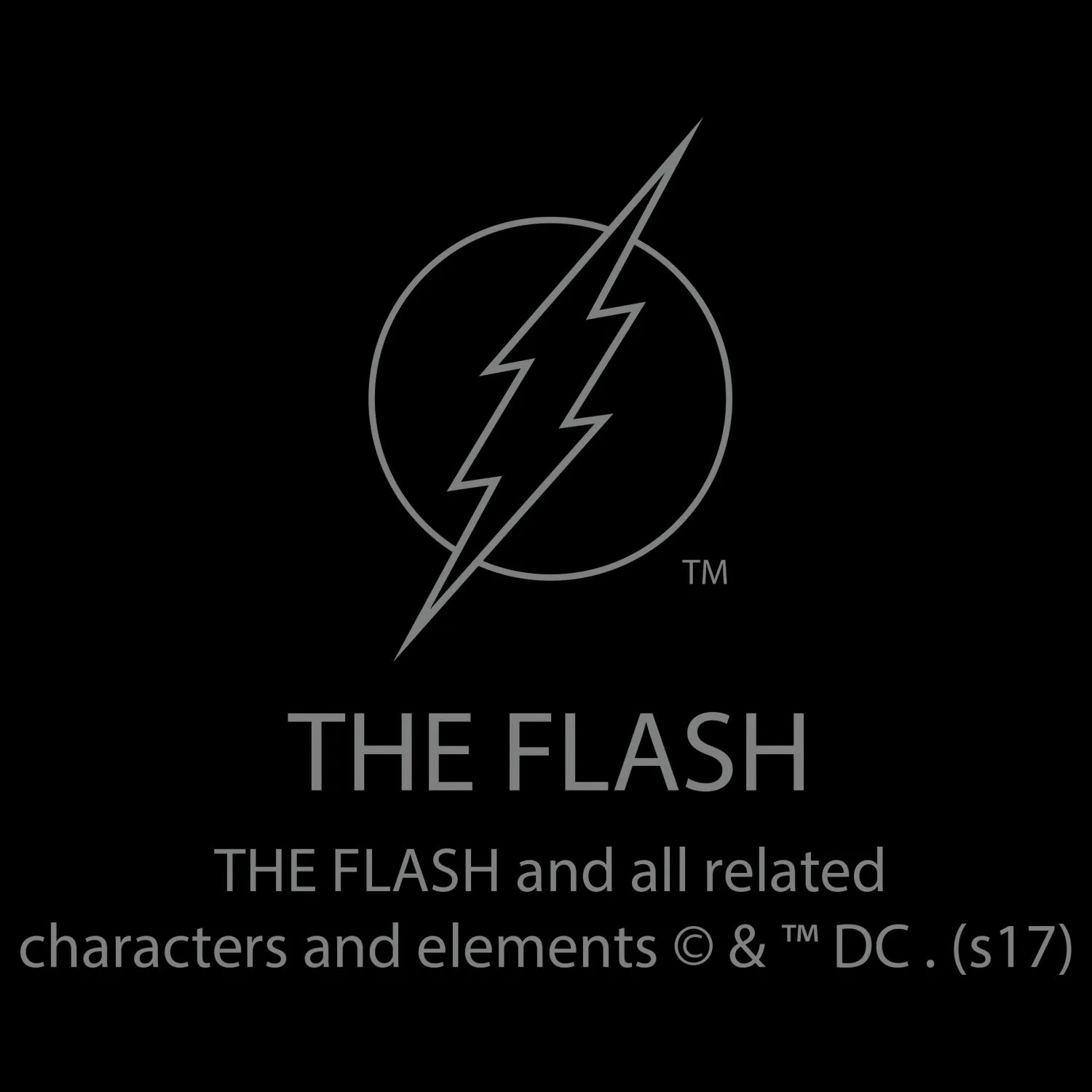 DC Comics Flash Modern Distressed Logo Official Women's T-shirt