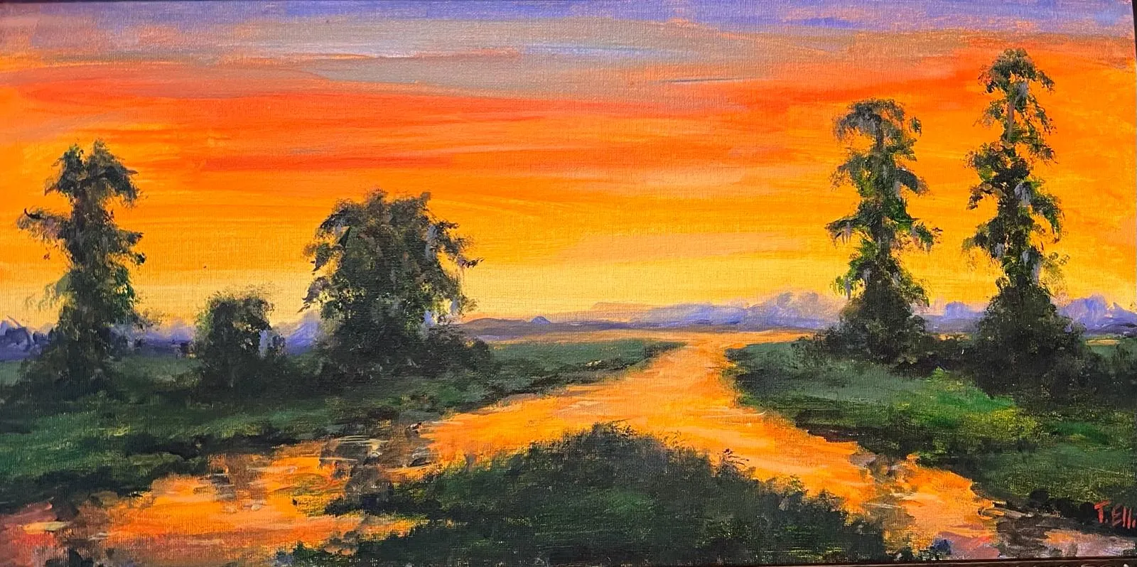 Ellis, Ted, (Old Southern Bayou)
