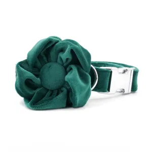 Green Floral Flourish: Personalized Collars and Leashes