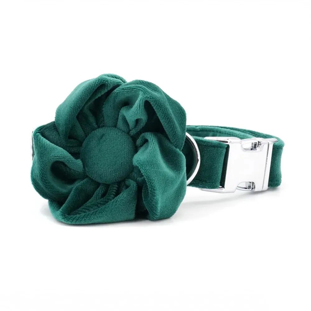 Green Floral Flourish: Personalized Collars and Leashes