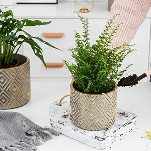 Hand Painted Tri Plant Pot