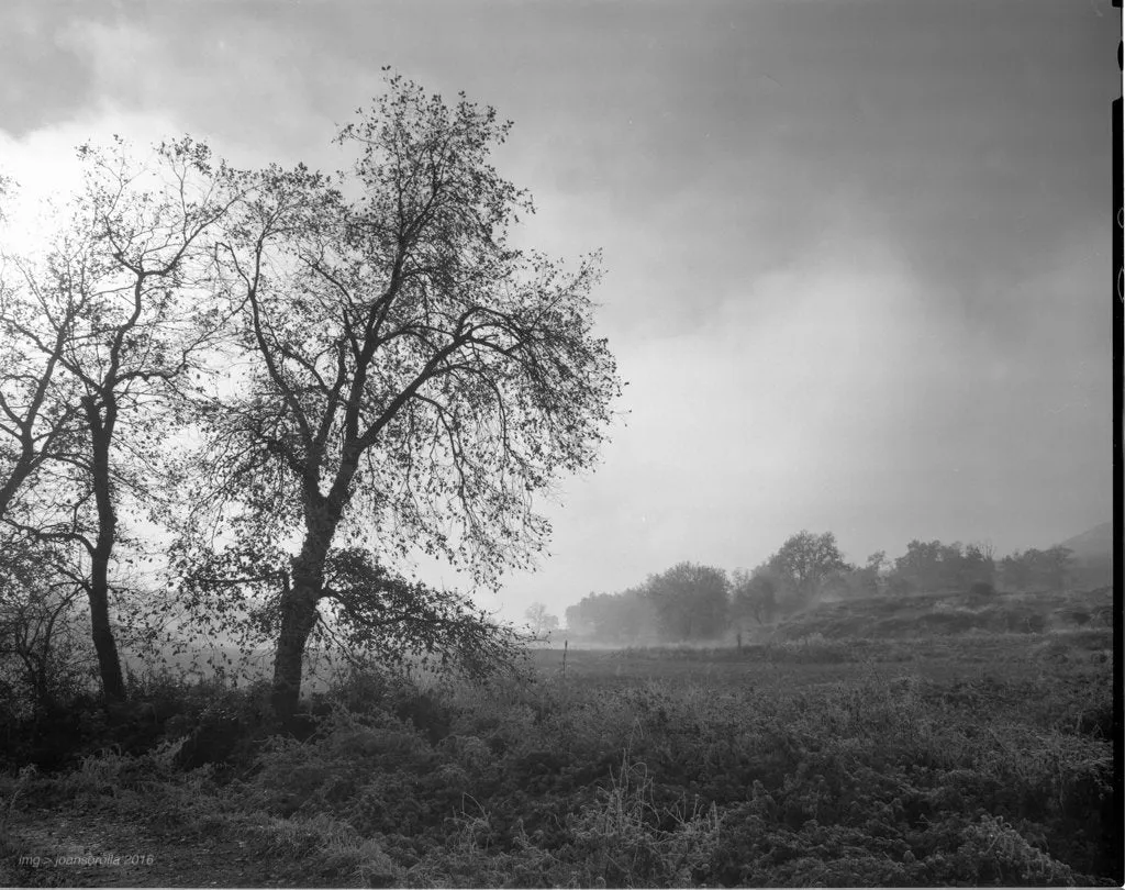 Ilford FP4 Plus - 5x7 Sheet Film - 25 sheets
