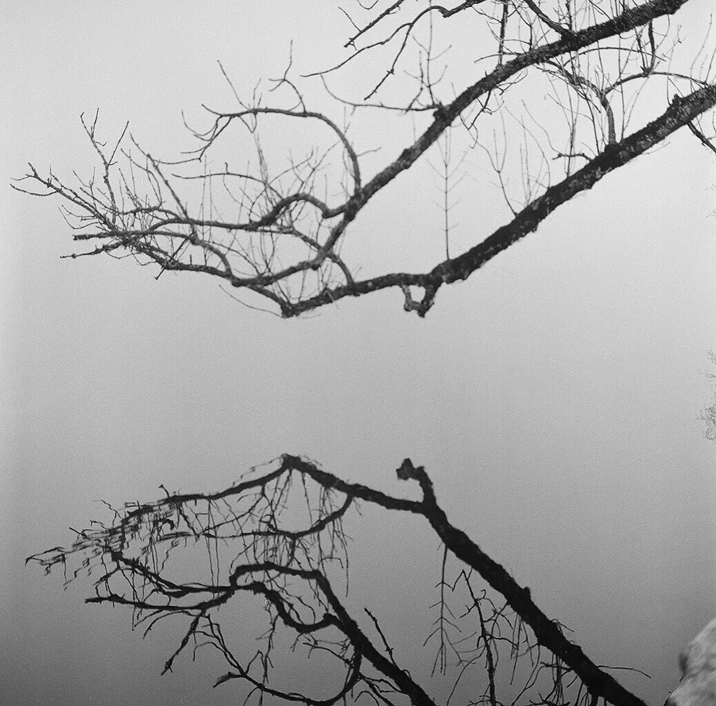 Ilford HP5 Plus - 120 Film