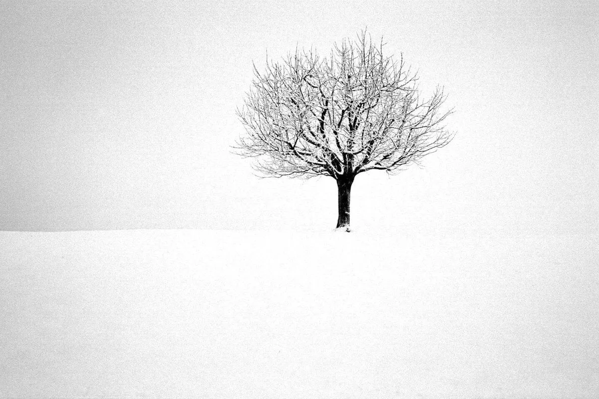 Ilford XP2 - 35mm Film