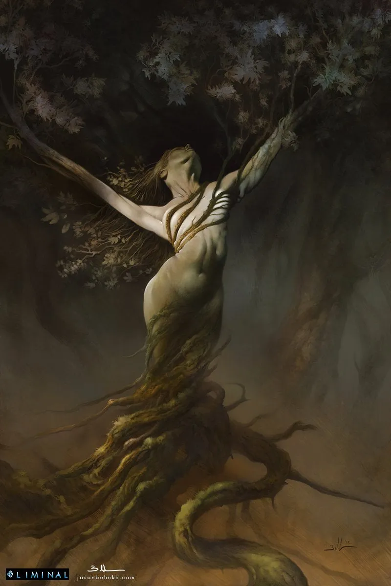 Liminal Core Book