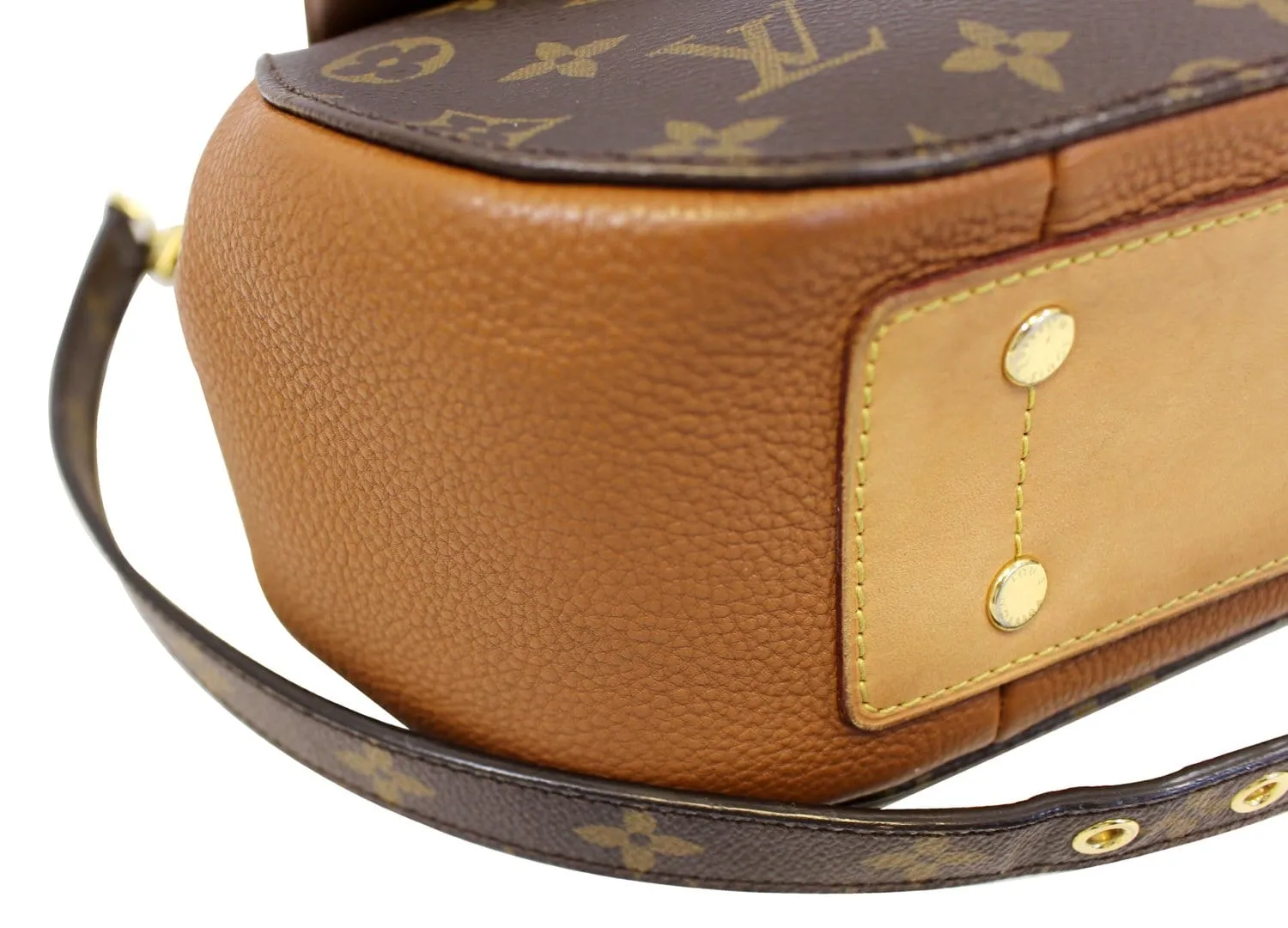 LOUIS VUITTON Monogram Havane Eden MM Shoulder Bag