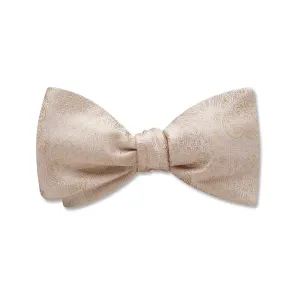 Pembroke Champagne - Kids' Bow Ties