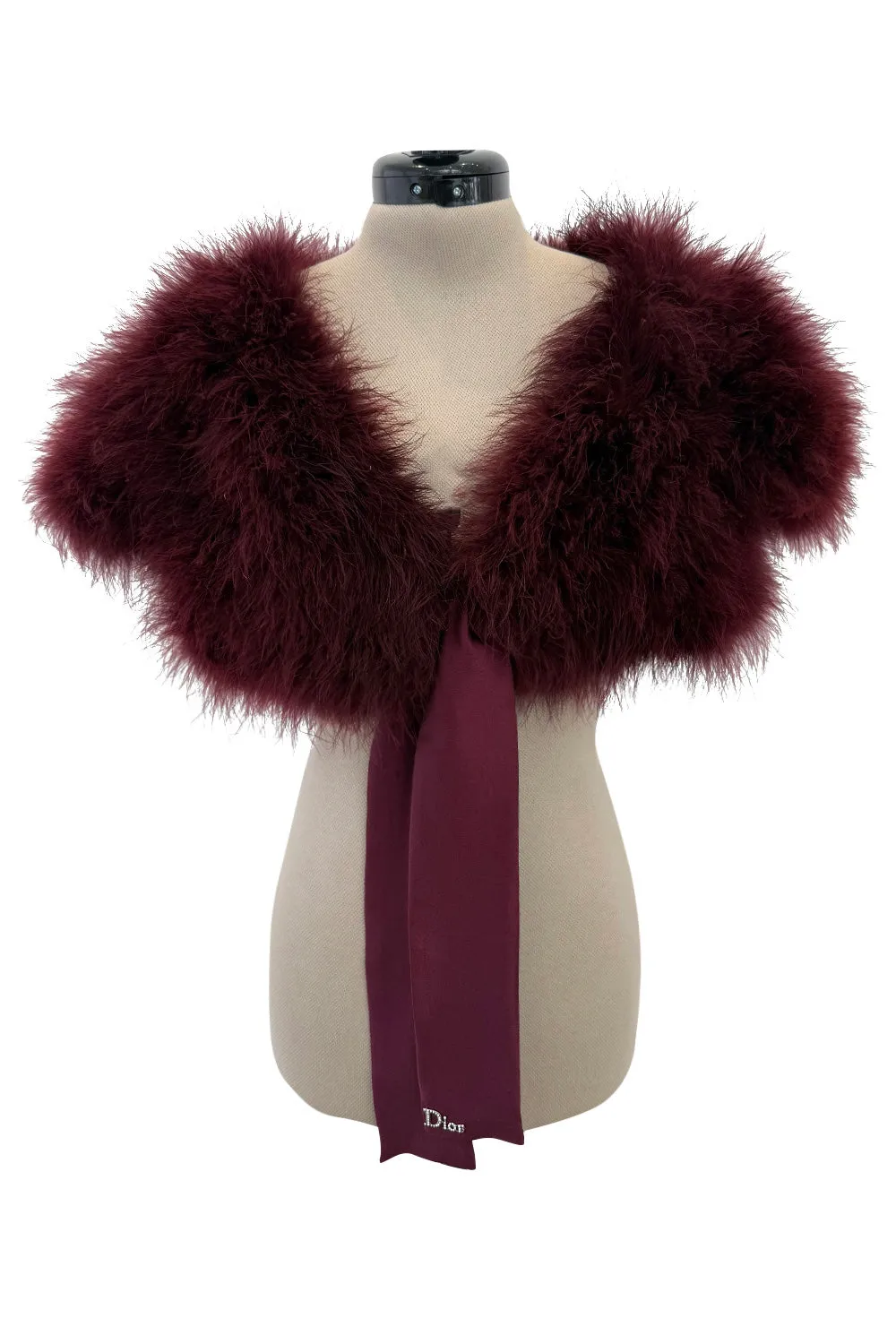 Prettiest Fall 2004 Christian Dior by John Galliano Burgundy Feather Bolero Capelet