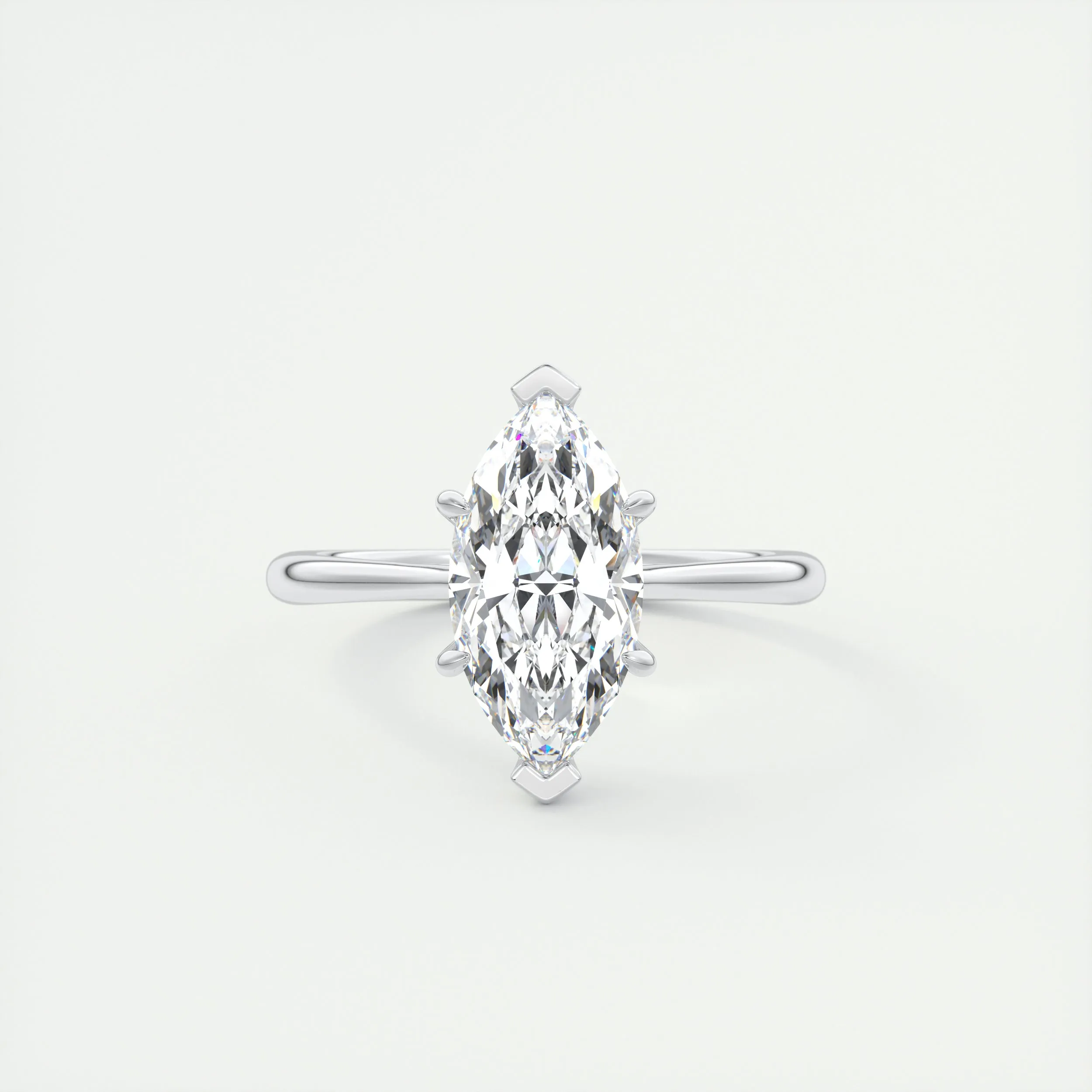 The Cathedral | Marquise