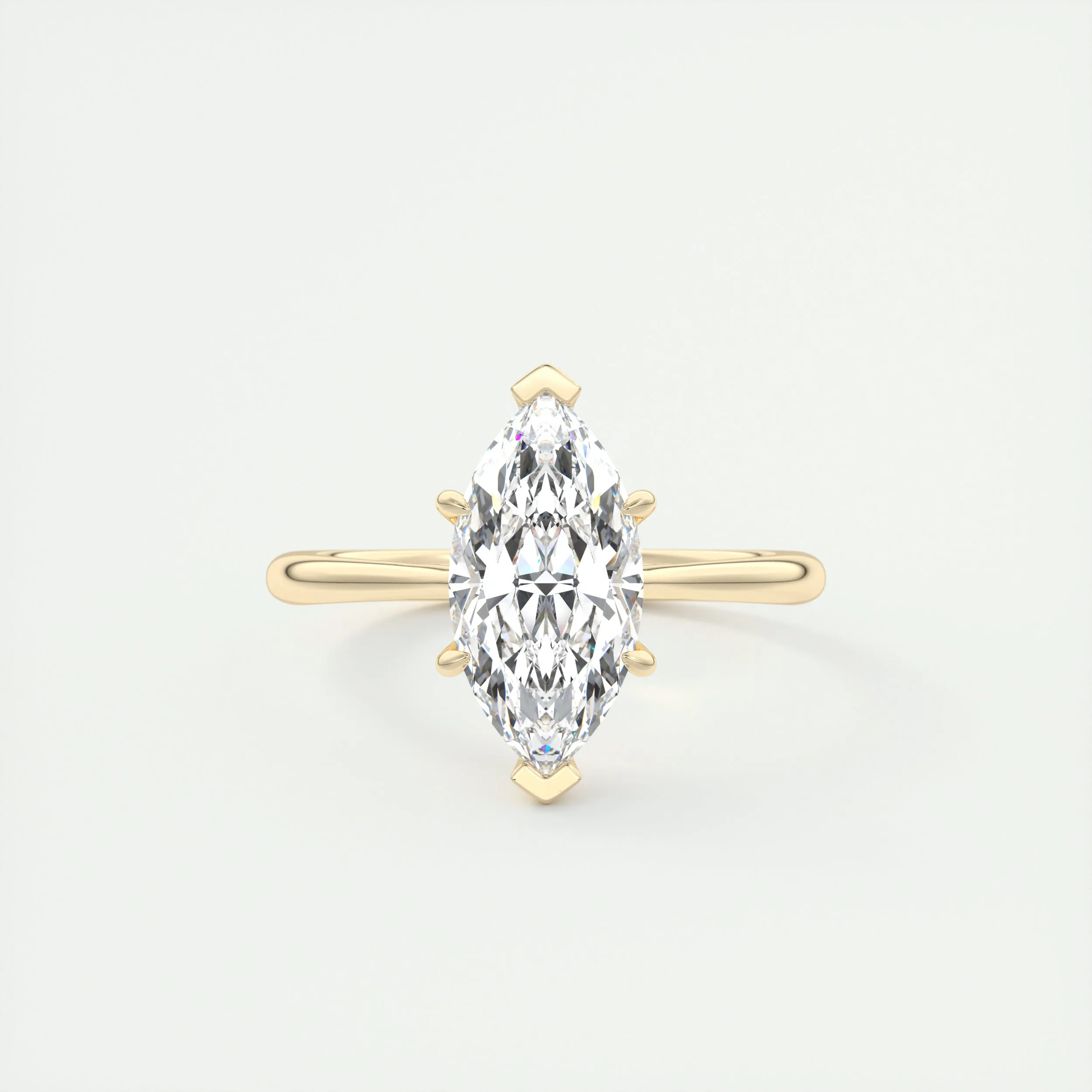 The Cathedral | Marquise
