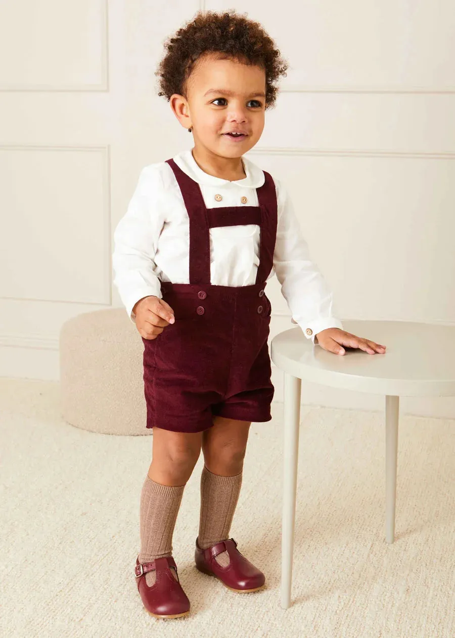 Velvet Button Detail Shorts with Braces in Burgundy (18mths-4yrs)