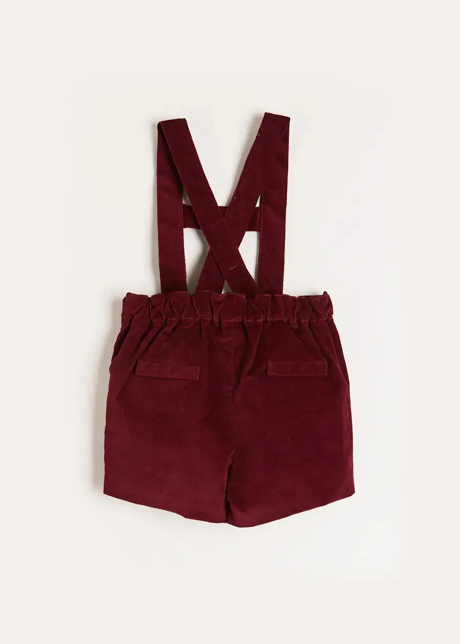 Velvet Button Detail Shorts with Braces in Burgundy (18mths-4yrs)