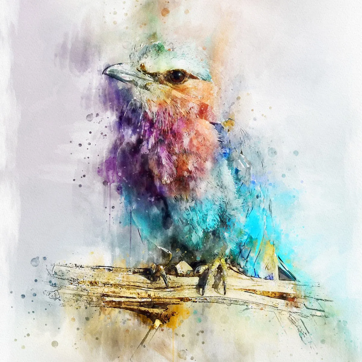 Watercolor Photoshop Artistic Action