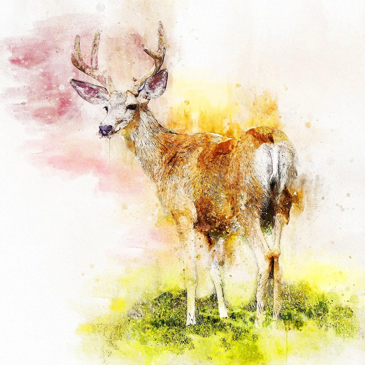 Watercolor Photoshop Artistic Action